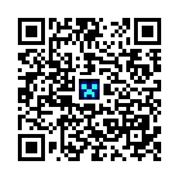 skins.qr_code_alt