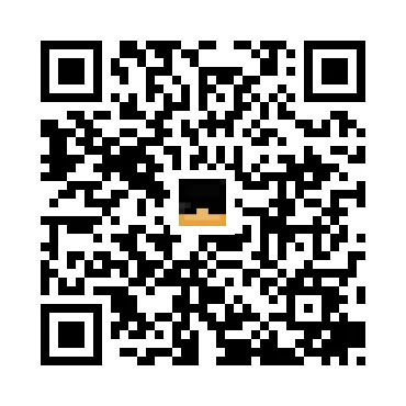 skins.qr_code_alt
