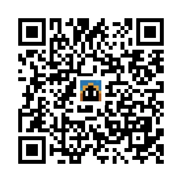 skins.qr_code_alt