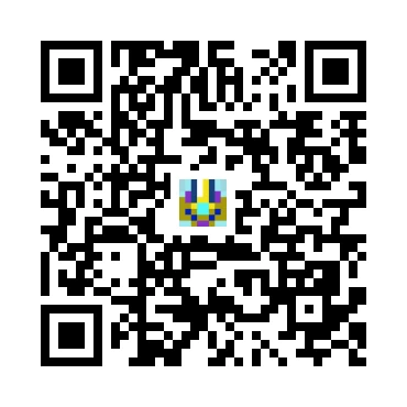 skins.qr_code_alt