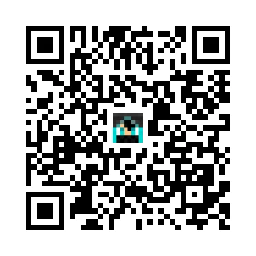 skins.qr_code_alt