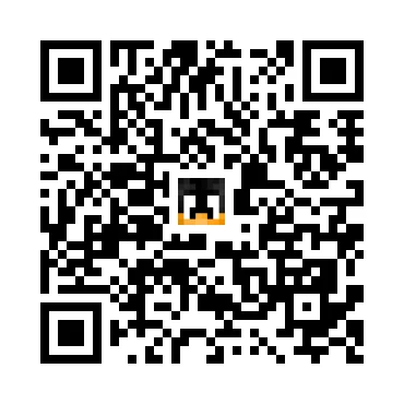skins.qr_code_alt