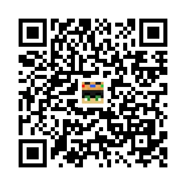 skins.qr_code_alt