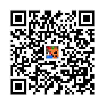skins.qr_code_alt