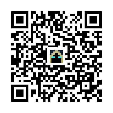 skins.qr_code_alt