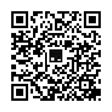 skins.qr_code_alt