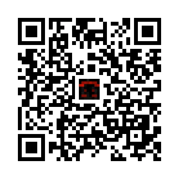 skins.qr_code_alt