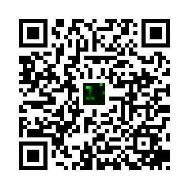 skins.qr_code_alt