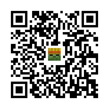 skins.qr_code_alt