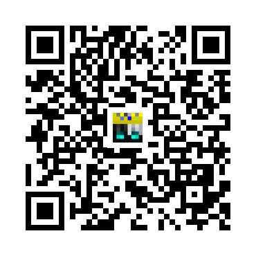 skins.qr_code_alt