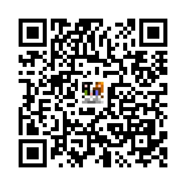 skins.qr_code_alt