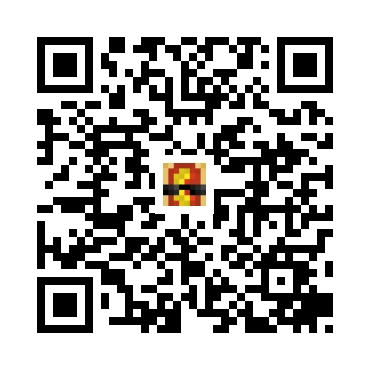 skins.qr_code_alt