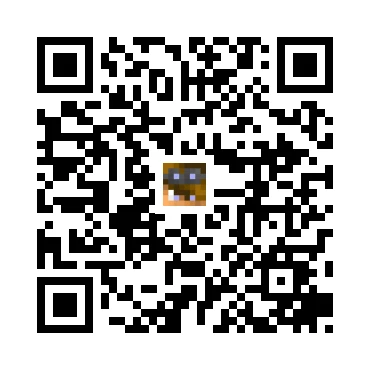 skins.qr_code_alt