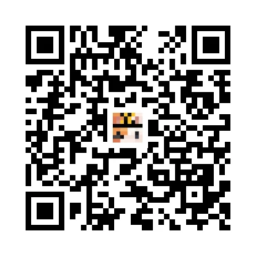 skins.qr_code_alt