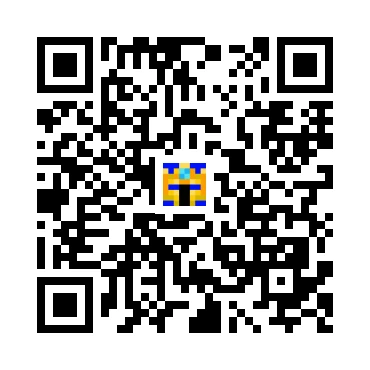 skins.qr_code_alt