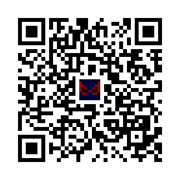 skins.qr_code_alt