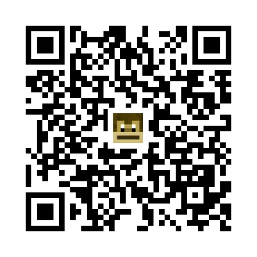 skins.qr_code_alt