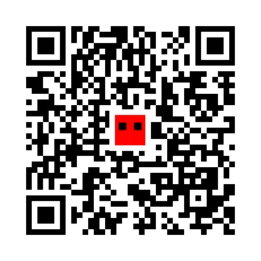 skins.qr_code_alt