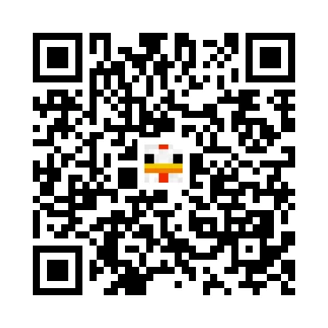 skins.qr_code_alt