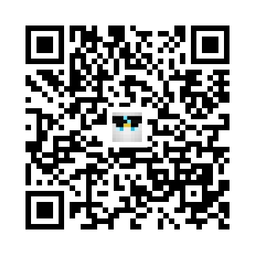 skins.qr_code_alt