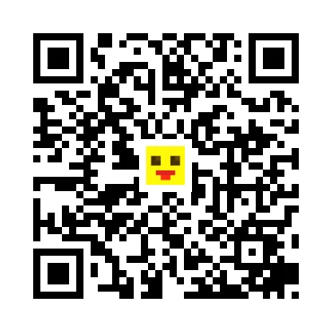 skins.qr_code_alt
