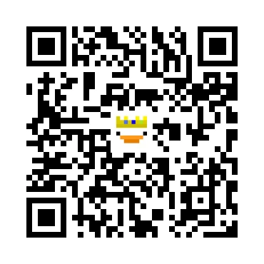 skins.qr_code_alt