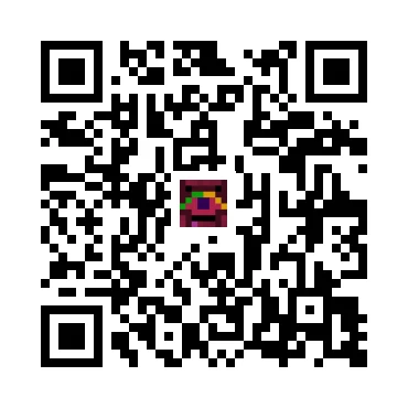 skins.qr_code_alt