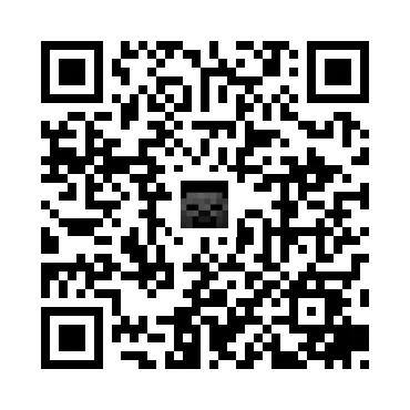 skins.qr_code_alt