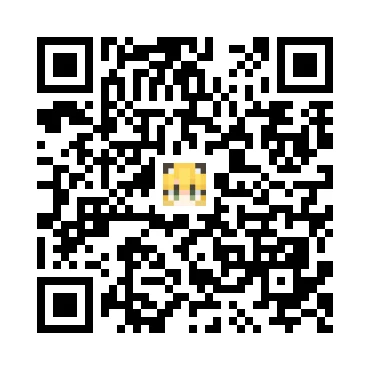 skins.qr_code_alt