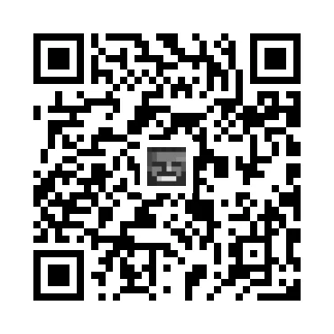 skins.qr_code_alt