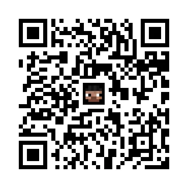 skins.qr_code_alt