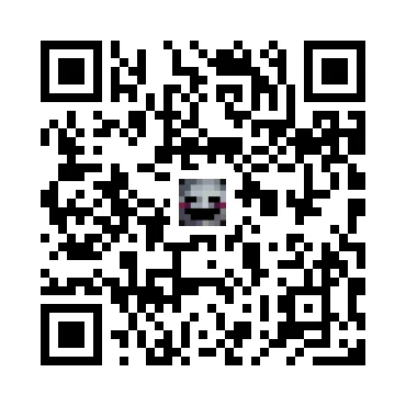 skins.qr_code_alt