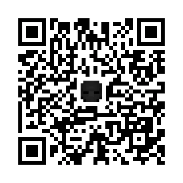 skins.qr_code_alt