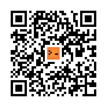 skins.qr_code_alt