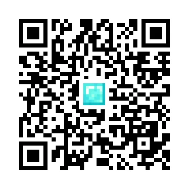 skins.qr_code_alt