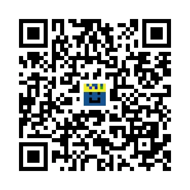 skins.qr_code_alt