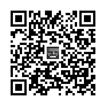 skins.qr_code_alt