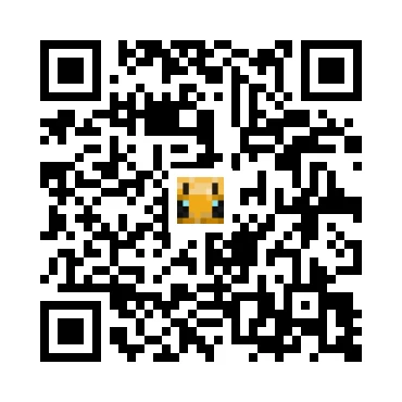 skins.qr_code_alt