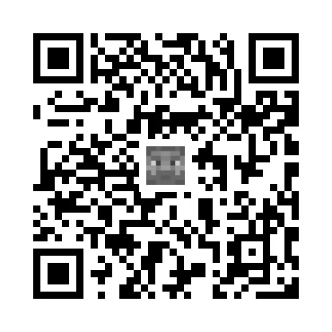 skins.qr_code_alt