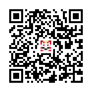 skins.qr_code_alt