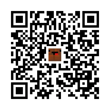 skins.qr_code_alt