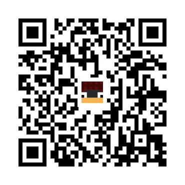 skins.qr_code_alt