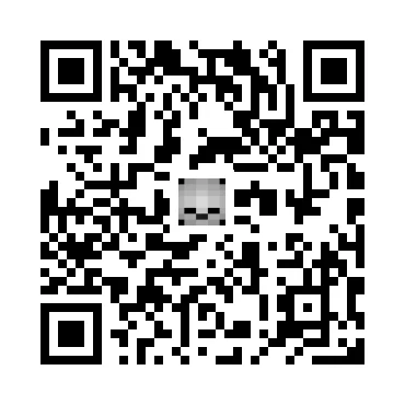 skins.qr_code_alt