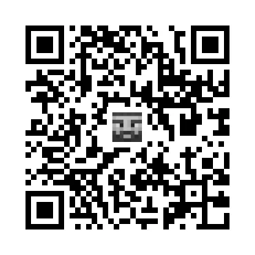 skins.qr_code_alt