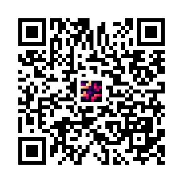 skins.qr_code_alt
